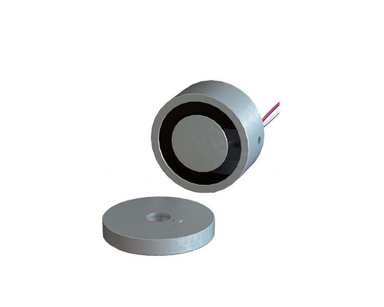 Zwora do szlabanu okrągła IP67 200kg | VR200-80A