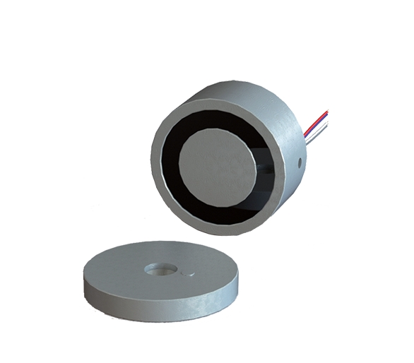 Zwora do szlabanu okrągła IP67 200kg | VR200-80A